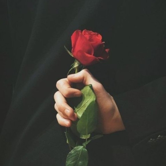 Meet your Posher, Alexander - Picture 1 of 1